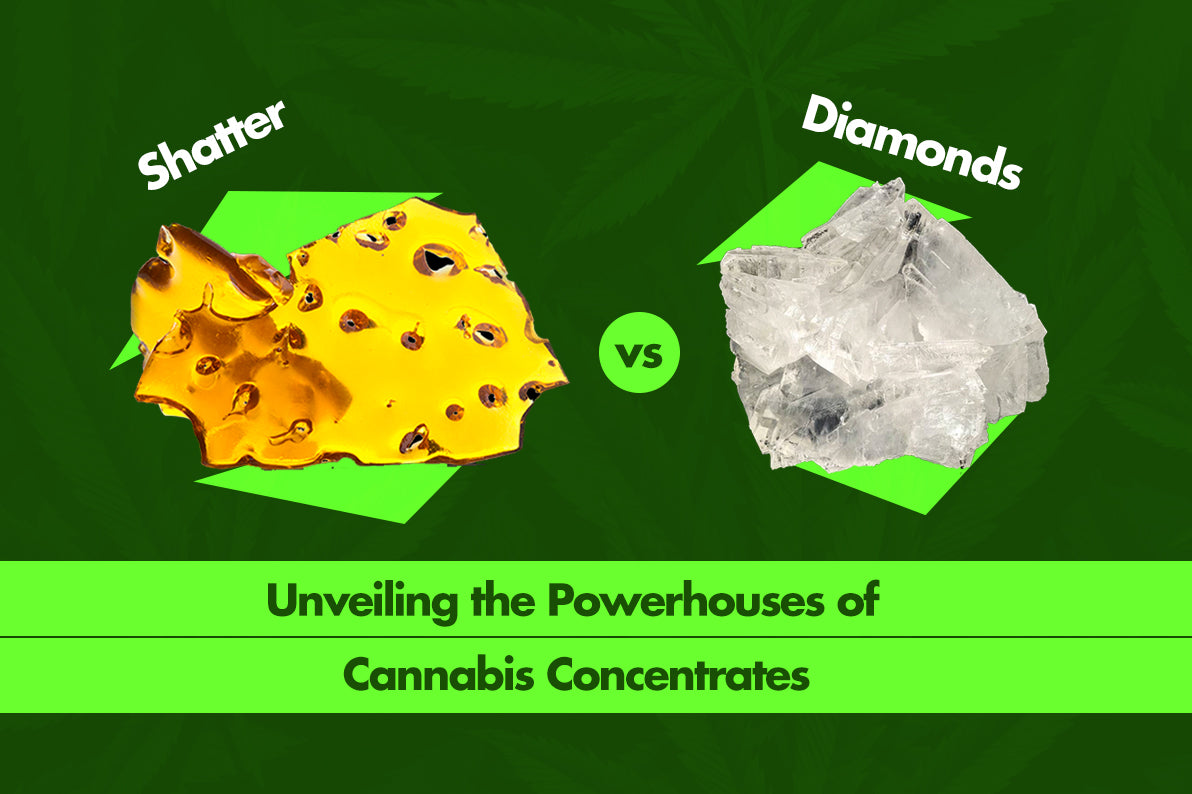 Shatter vs. Diamonds: Unveiling the Powerhouses of Cannabis Concentrates