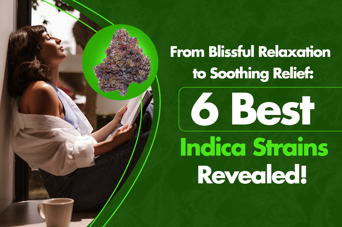 6 Best Indica Strains: Top 6 for Relaxation and Healing