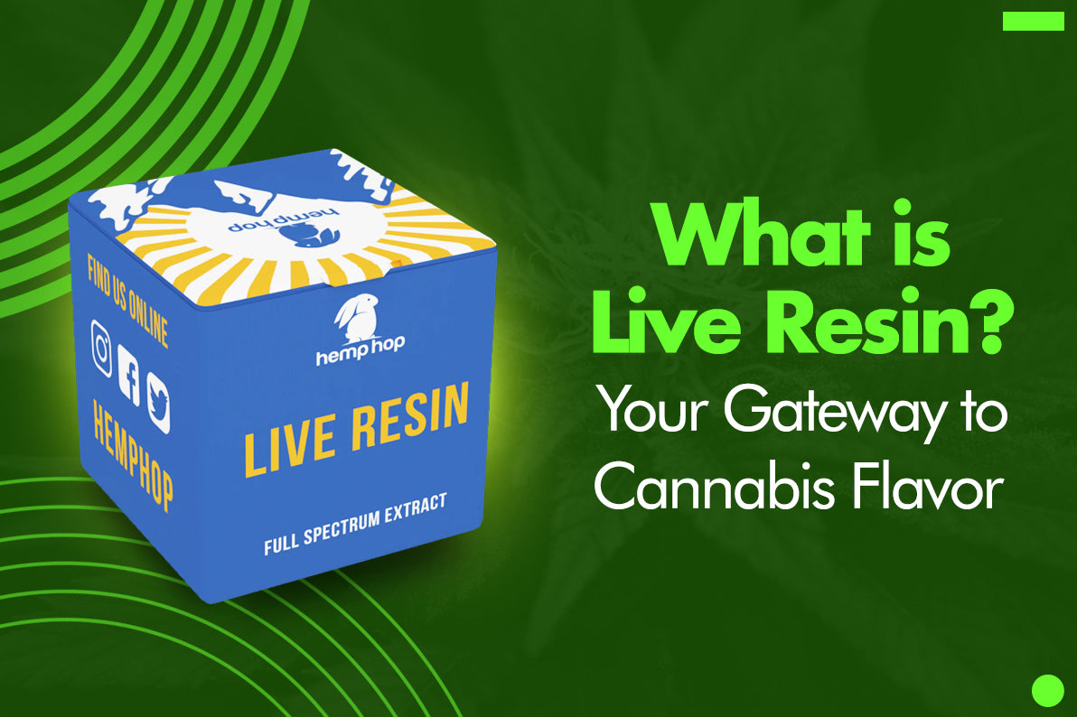 What is Live Resin? Your Gateway to Cannabis Flavor