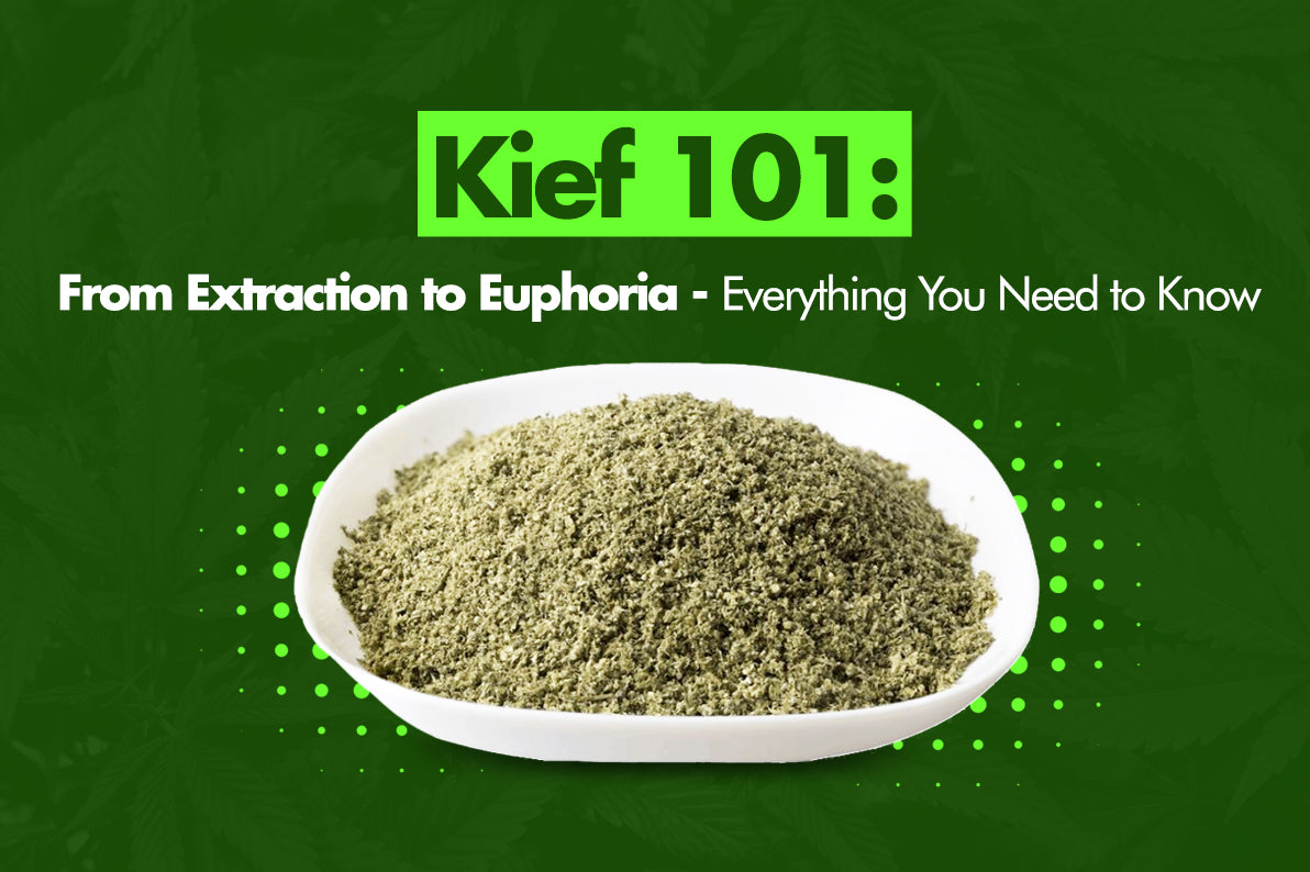 Kief 101: From Extraction to Euphoria - Everything You Need to Know