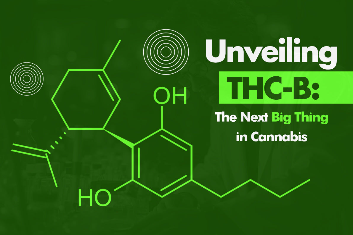 What Is THC-B: Unveiling The Potent Cannabinoid's Benefits