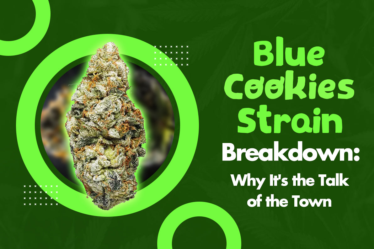 Blue Cookies Strain Breakdown: Why It's the Talk of the Town