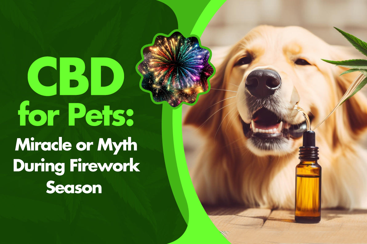 CBD for Pets: Miracle or Myth During Firework Season?
