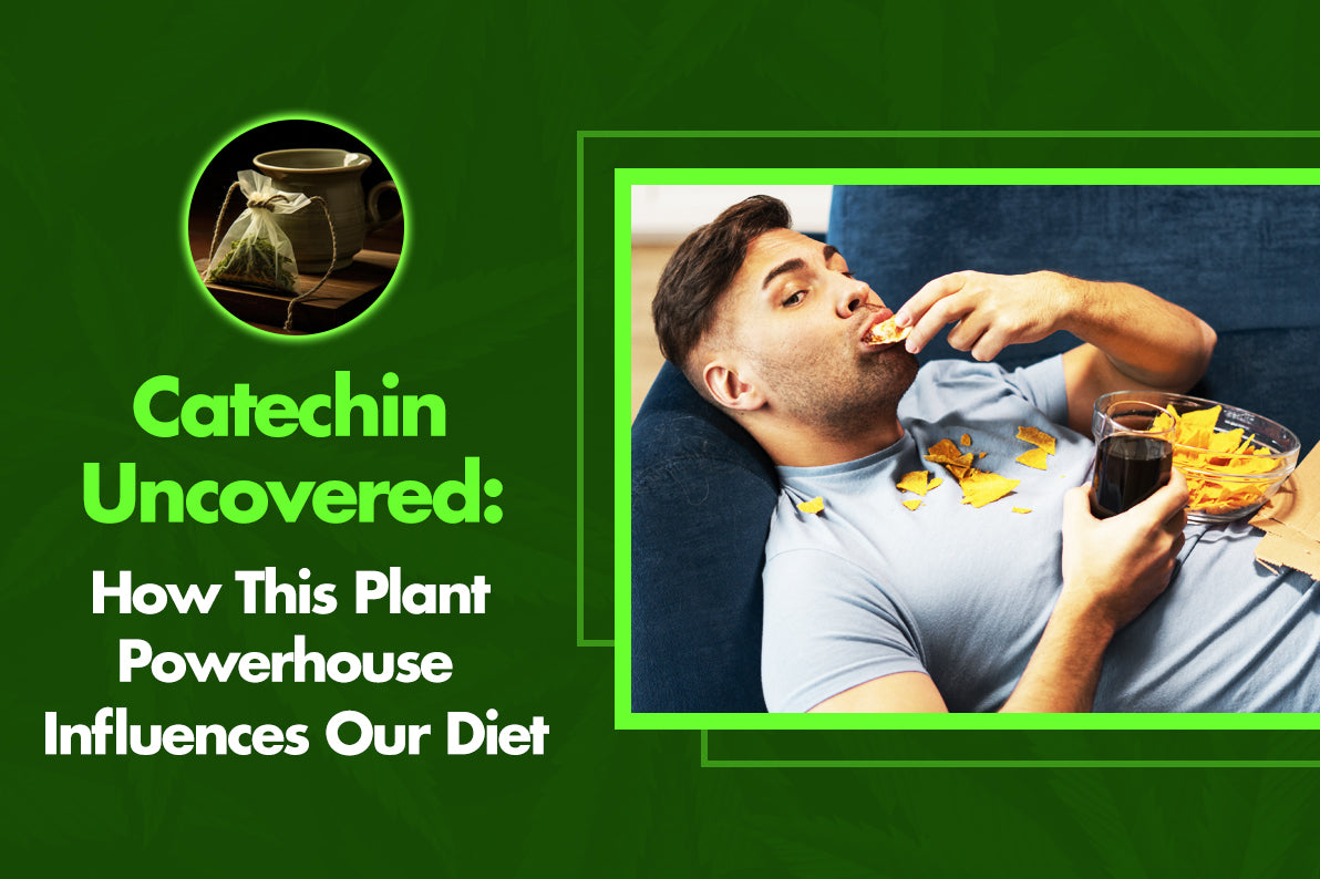 Catechin Uncovered: How This Plant Powerhouse Influences Our Diet