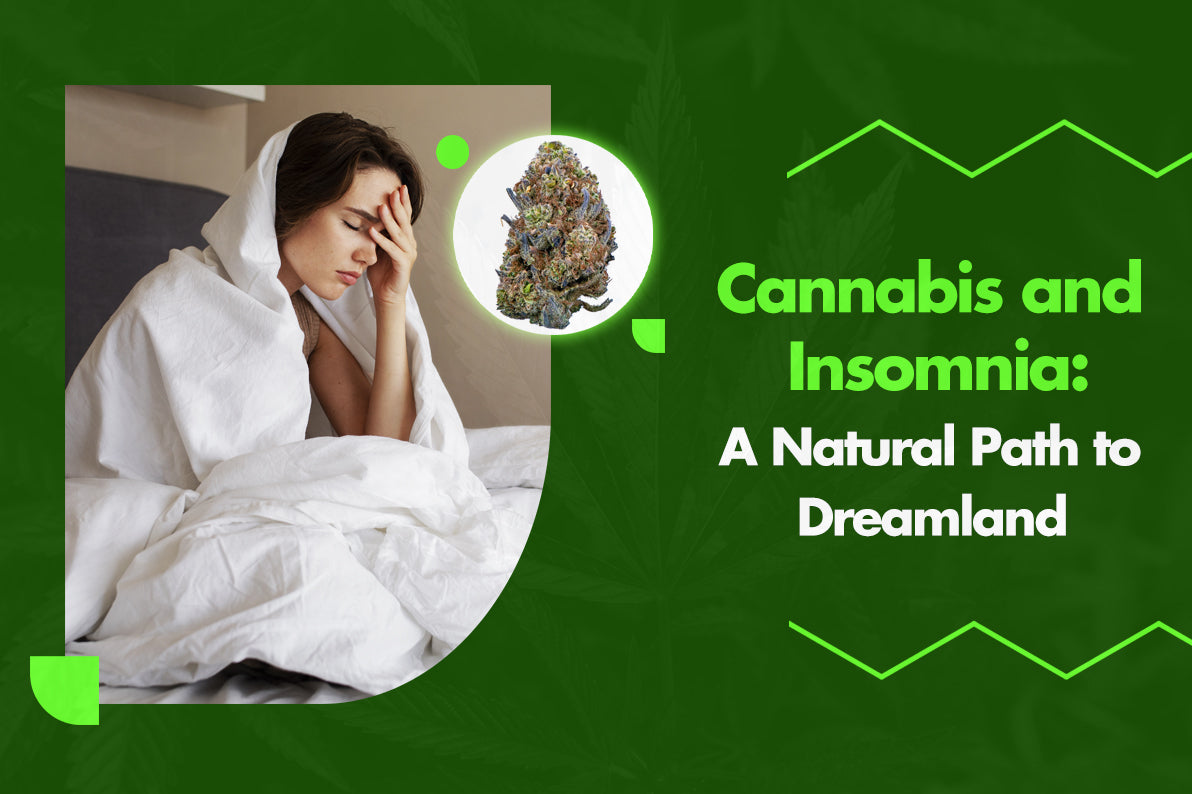 Cannabis and Insomnia: A Natural Path to Dreamland