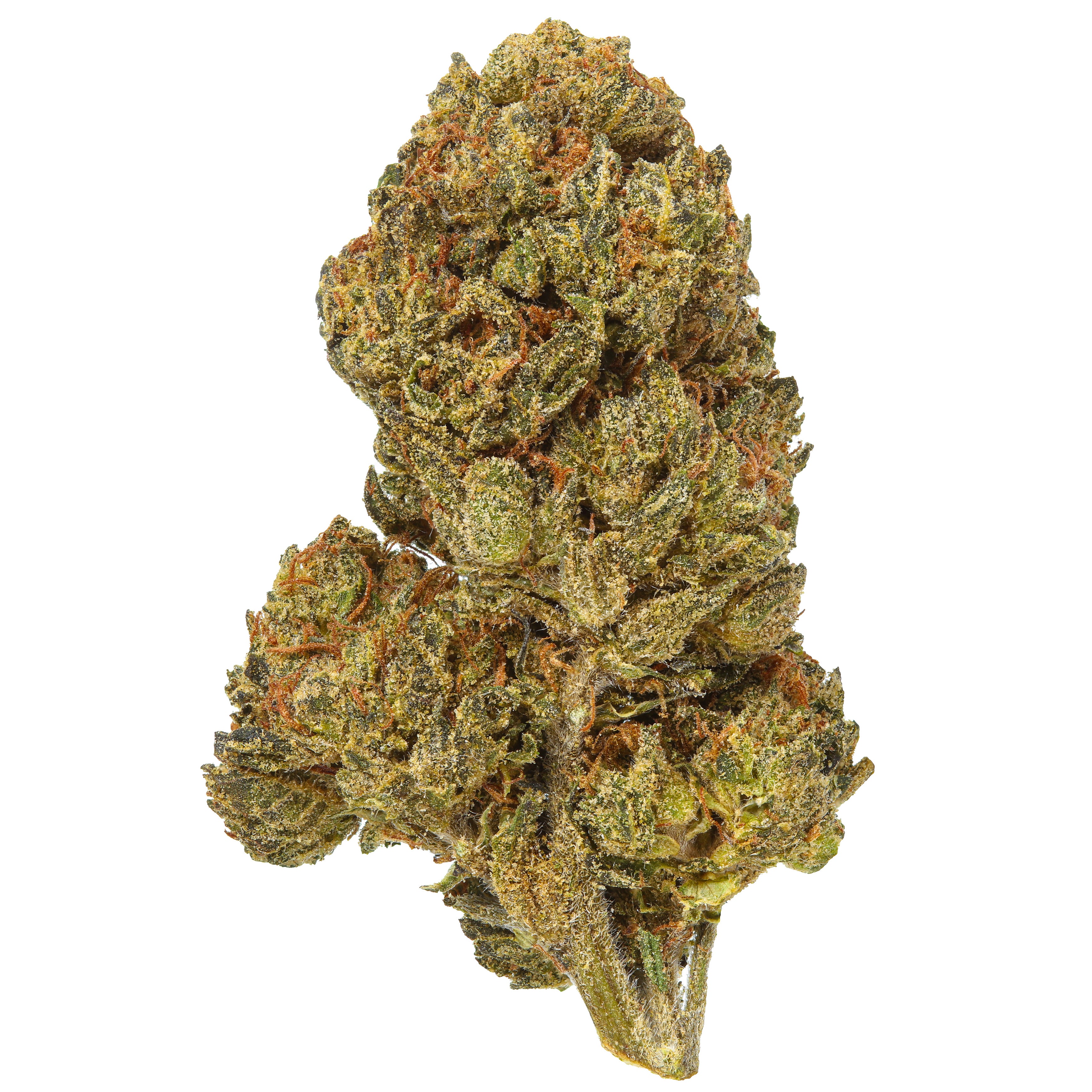 Shop Mochi Gelato THCa Flower Strain Online for Sale | Hemp Hop
