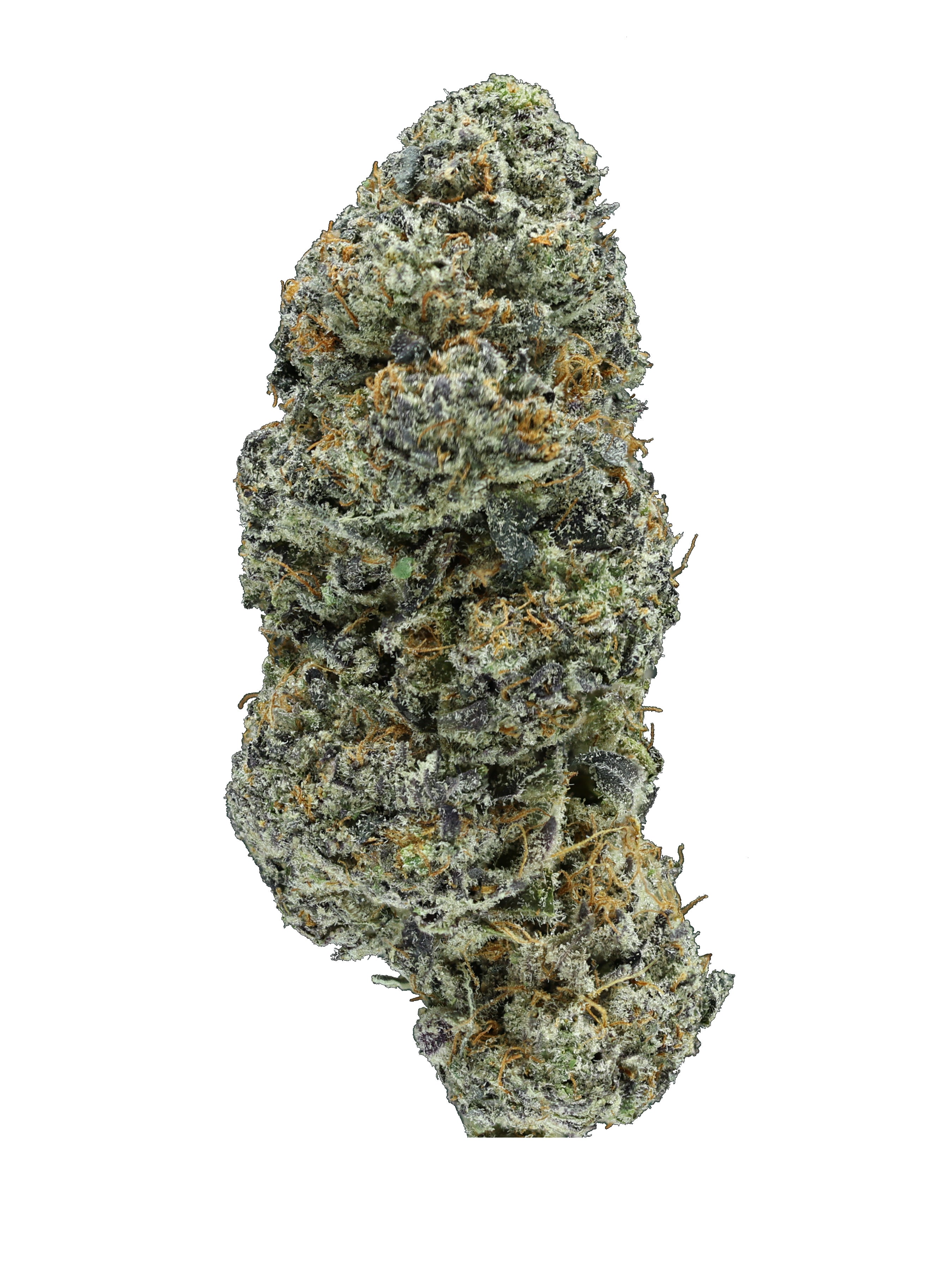 シーイヤーパブェ Buy Sunset Jiffy Cake THCa Flower Strain Online for Sale | Hemp Hop