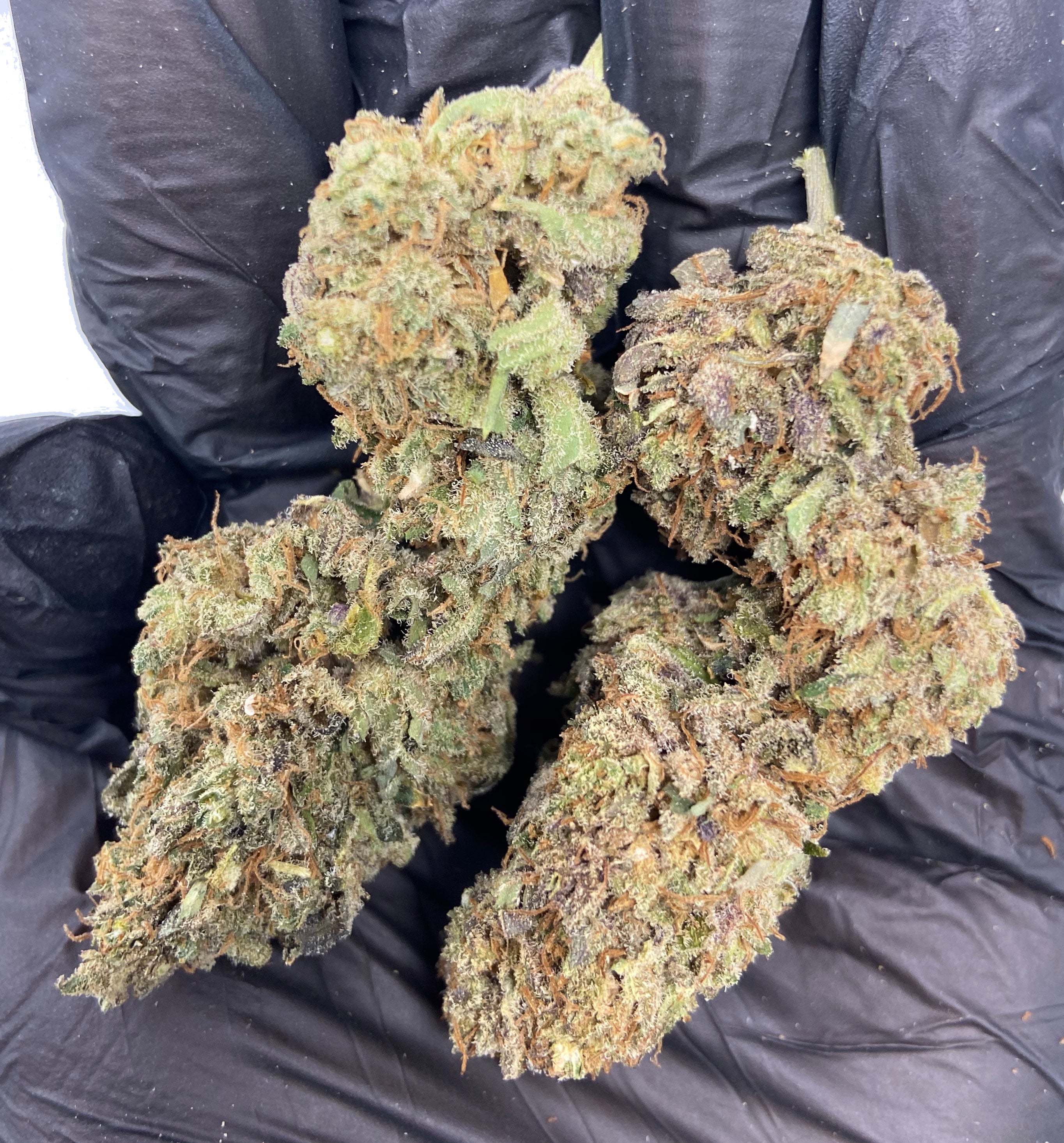 Indoor Mothership Top Shelf Flower Hemp Hop