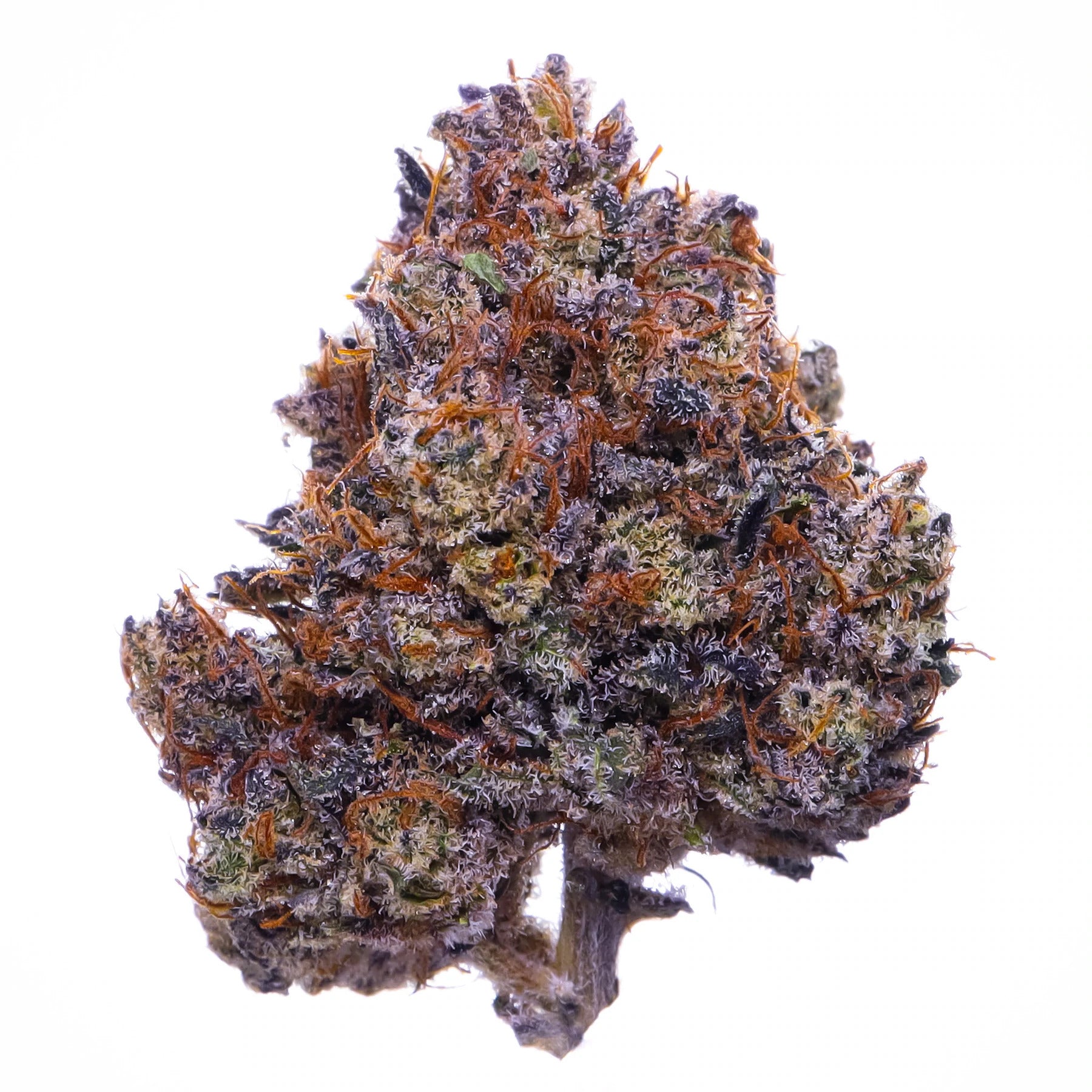Buy Purple Haze Strain Weed CBD Hemp Flower Online | Hemp Hop