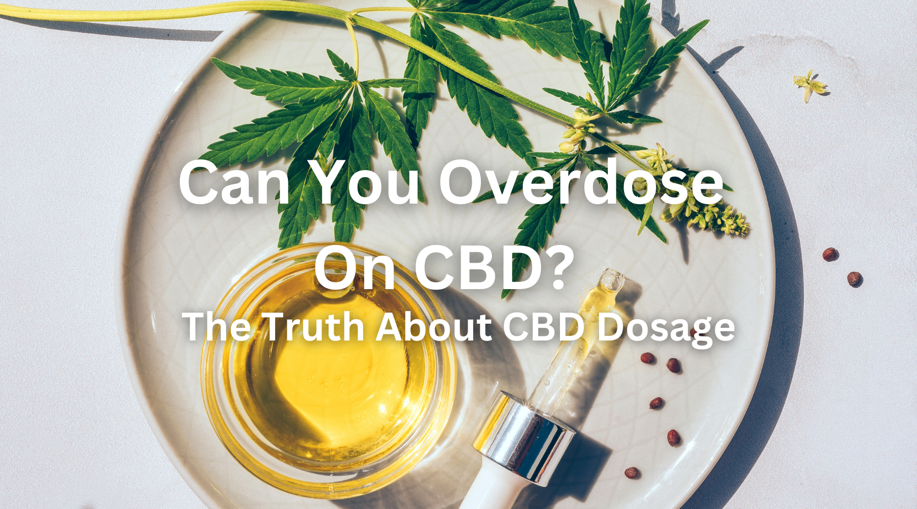 can you overdose on CBD? find out in this blog article.