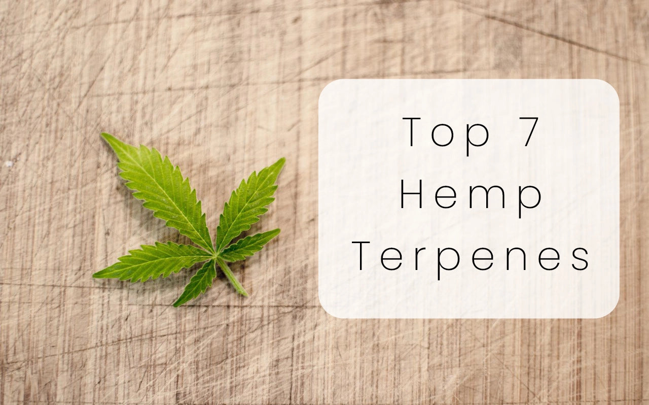 What are Terpenes? Top 7 Hemp Terpene & Their Properties