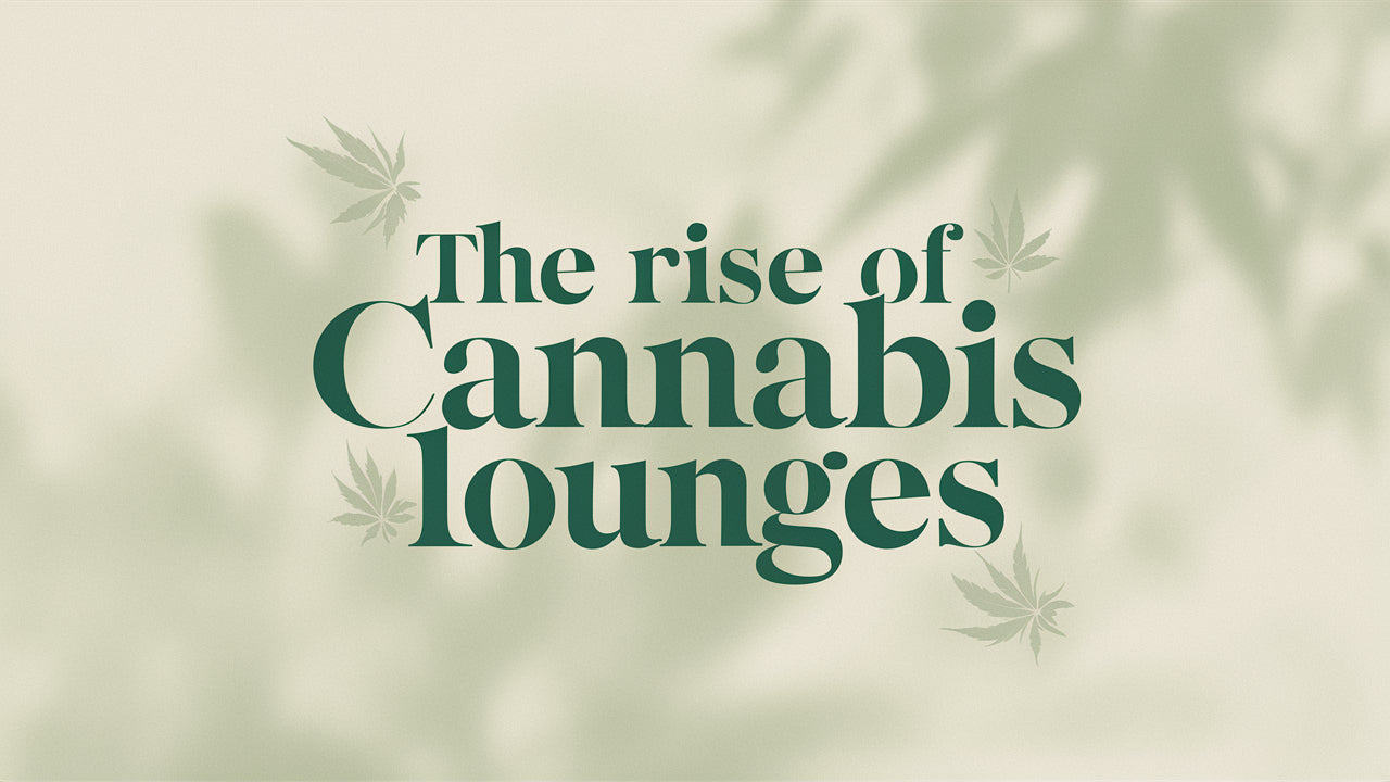 The Rise of Cannabis Lounges: Navigating Public Health and Safety