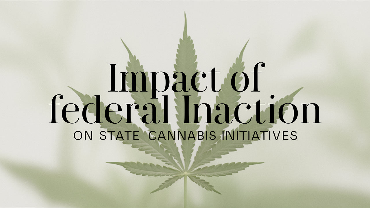 Exploring the Impact of Federal Inaction on State Cannabis Initiatives