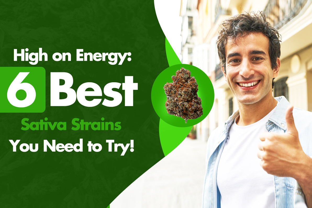 High on Energy: The 6 Best Sativa Strains You Need to Try!