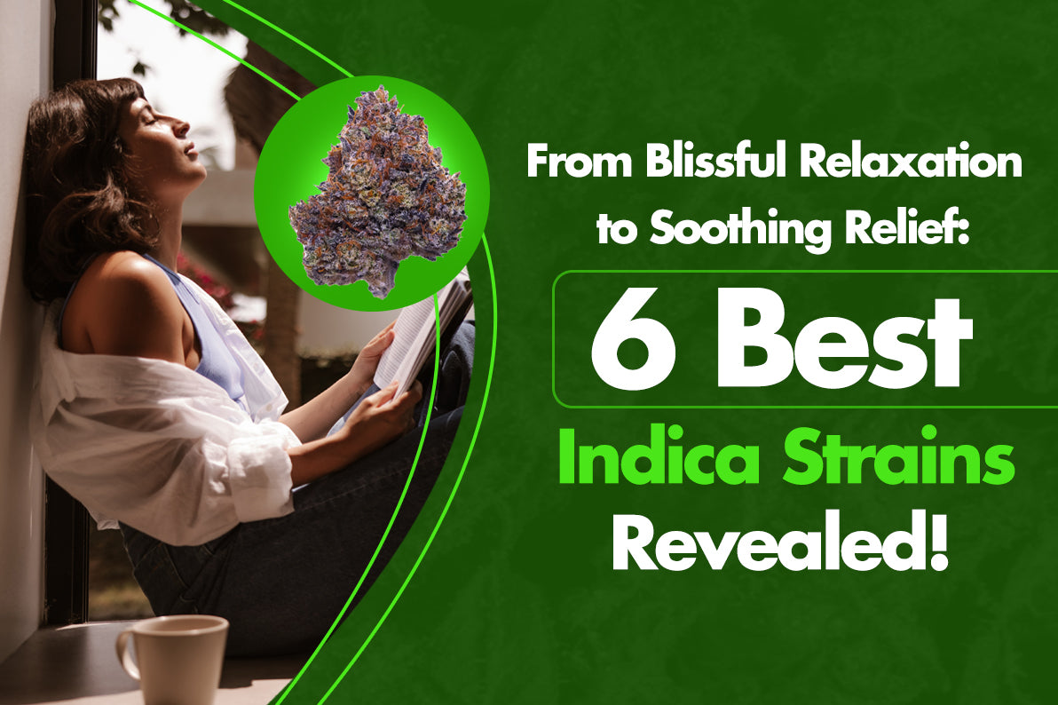From Blissful Relaxation to Soothing Relief: 6 Best Indica Strains Revealed!