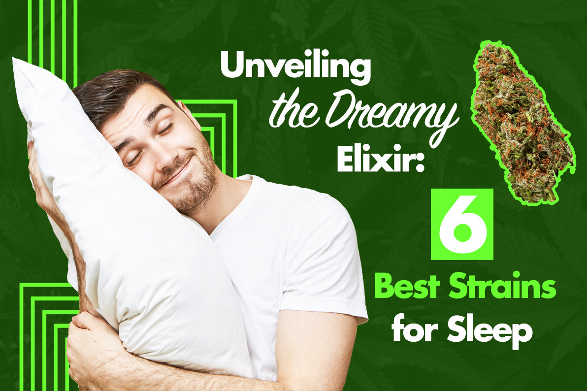 Unveiling the Dreamy Elixir: 6 Best Strains for Sleep