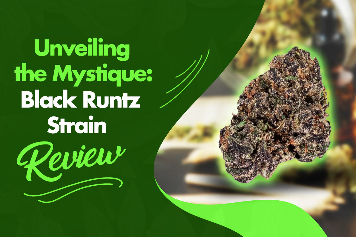 Unveiling the Mystique: Black Runtz Strain Review