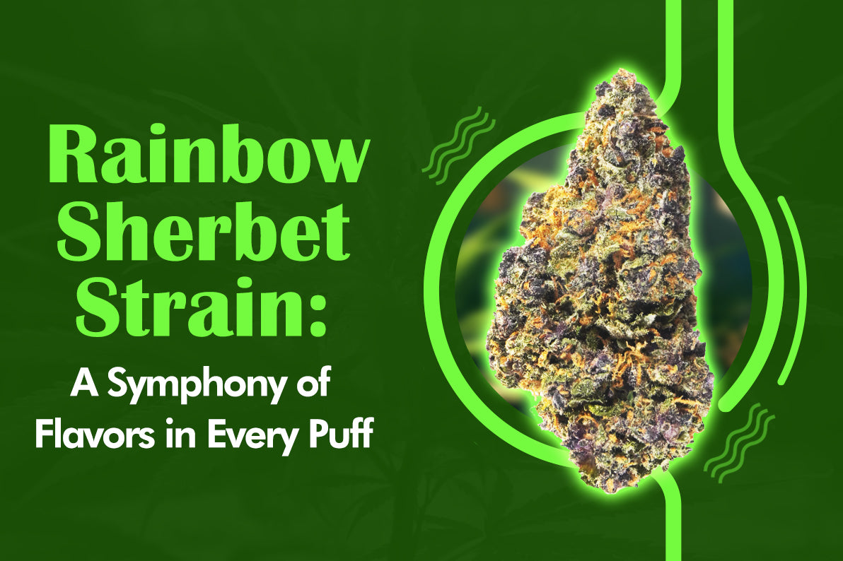 Rainbow Sherbet Strain: A Symphony of Flavors in Every Puff!