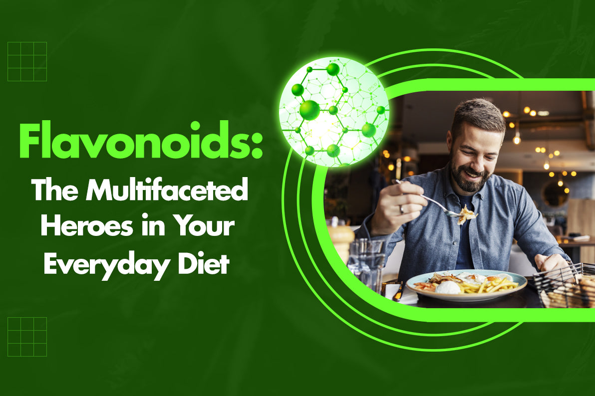 Flavonoids: The Multifaceted Heroes in Your Everyday Diet