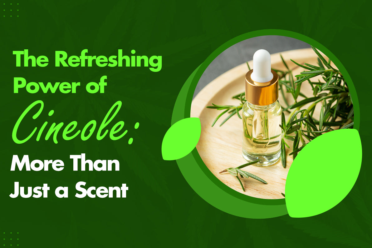 The Refreshing Power of Cineole: More Than Just a Scent