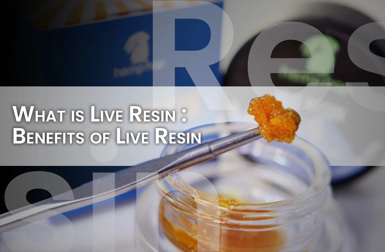 What is Live Resin : Benefits of Live Resin and How to use it?