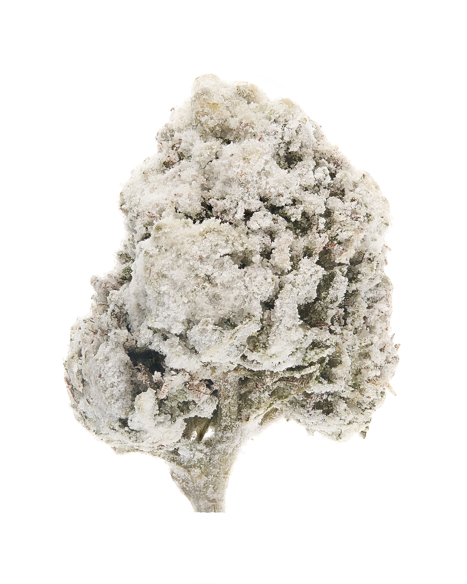 Hemp Moon Rocks, Asteroids, Hash, & other Connoisseur products