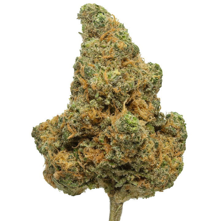 HEMP WELLNESS 4GM THC-A FLOWER - BLUE DREAM