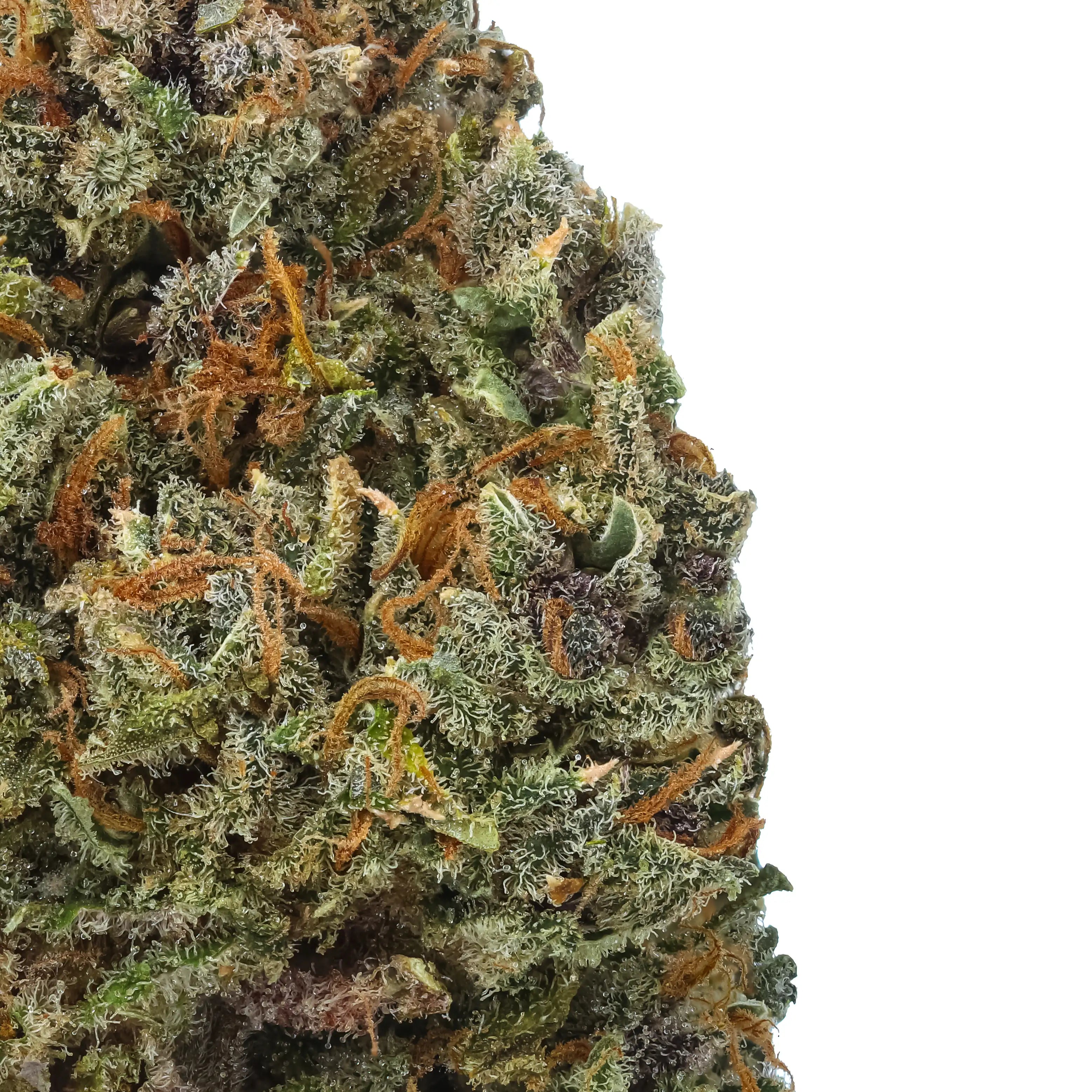 Shop Fruit Leak CBD Flower Strain Online NC | Hemp Hop