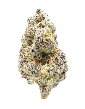 Buy Gas Truffle Strain THCA Hemp Flower | Hemp Hop