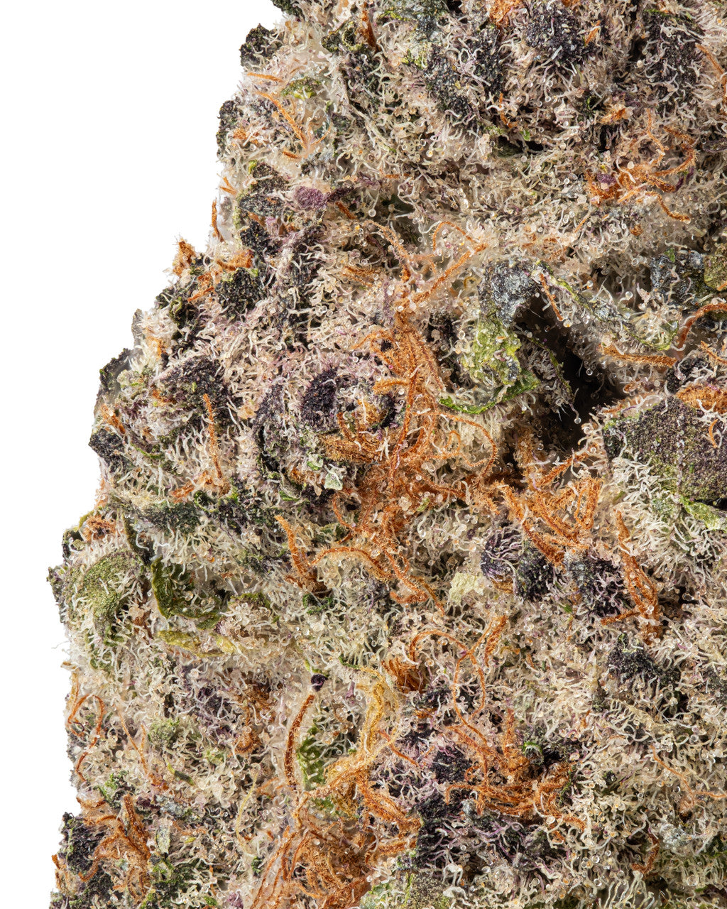 Granddaddy Purple (GDP) THCa Flower