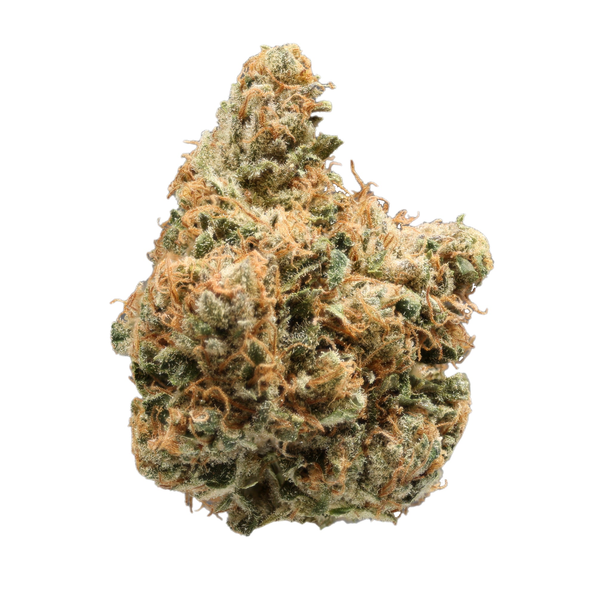 https://hemphop.co/cdn/shop/files/HarlequinIndoorHighCBDCannabisFlower_2048x2048.jpg?v=1703960785
