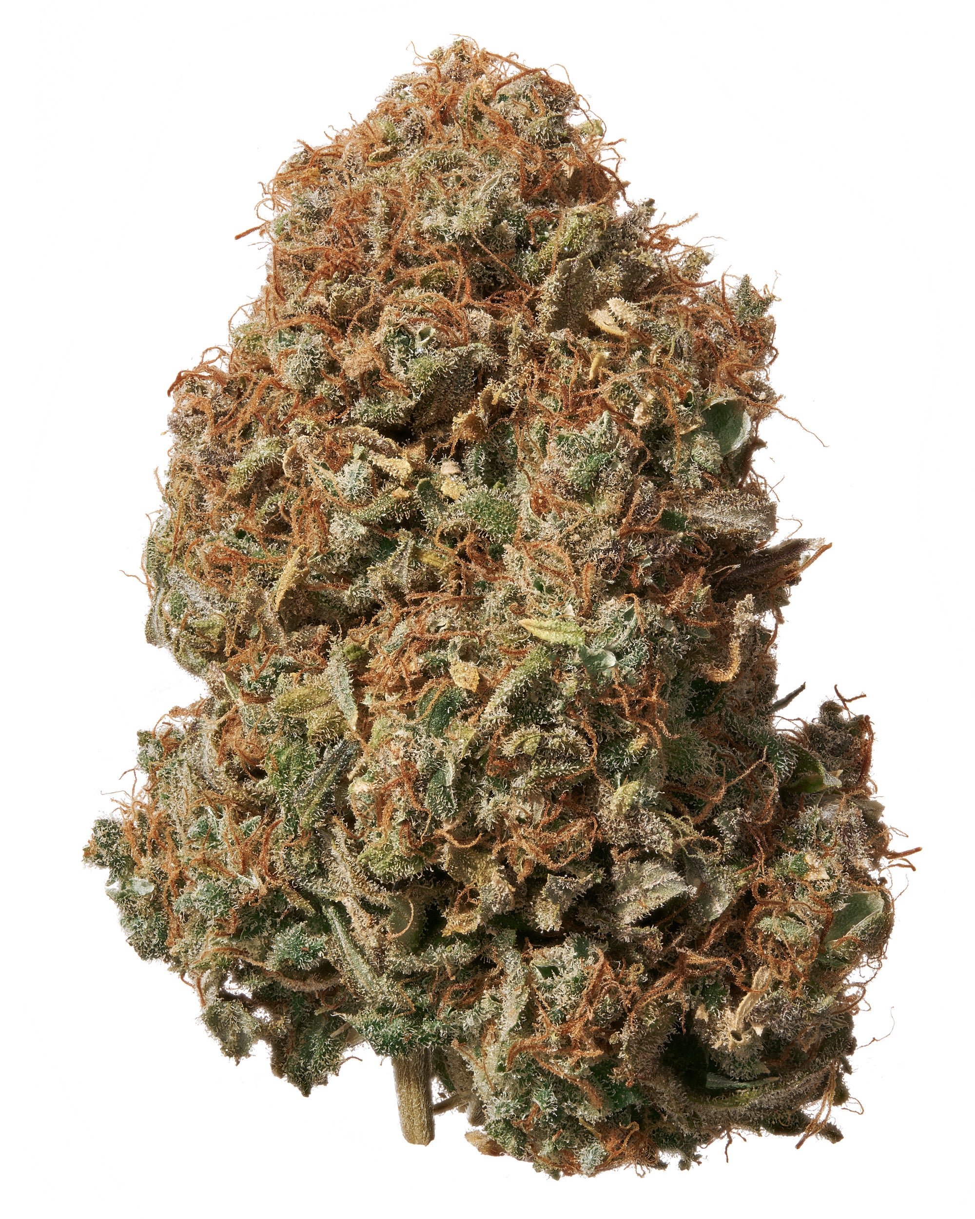 Sour Chem CBD Strain: A Potent Mix of Fuel & Citrus Aromas | Hemp Hop