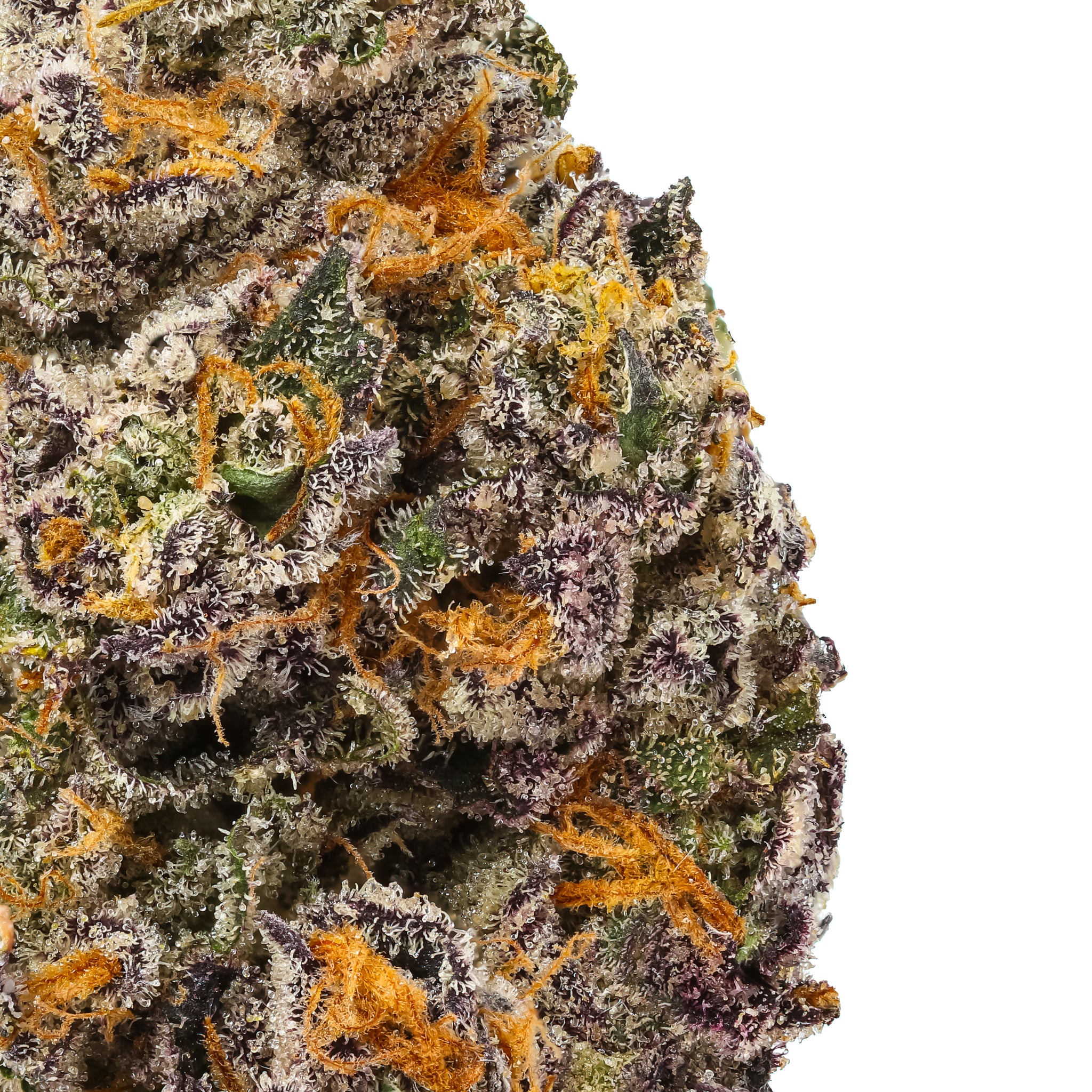 London Jealousy THCa Flower