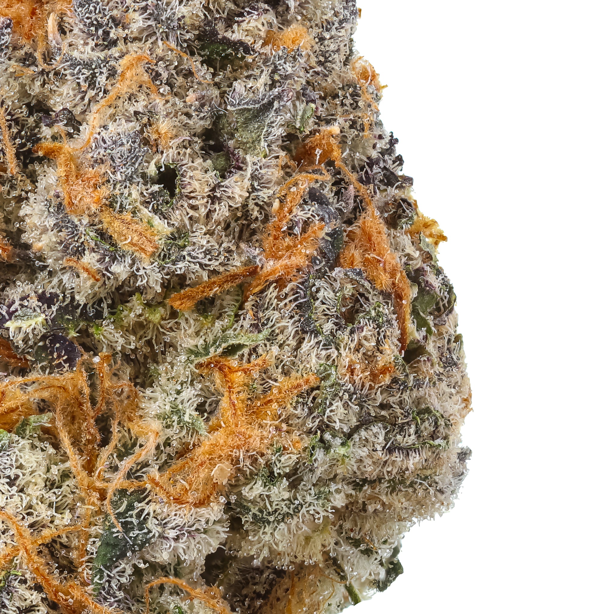 Oil Spill THCa Flower