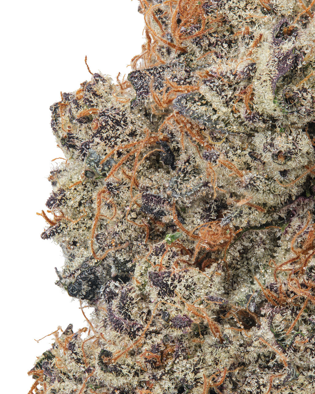 Lemon Cherry Gelato (LCG) THCa Flower