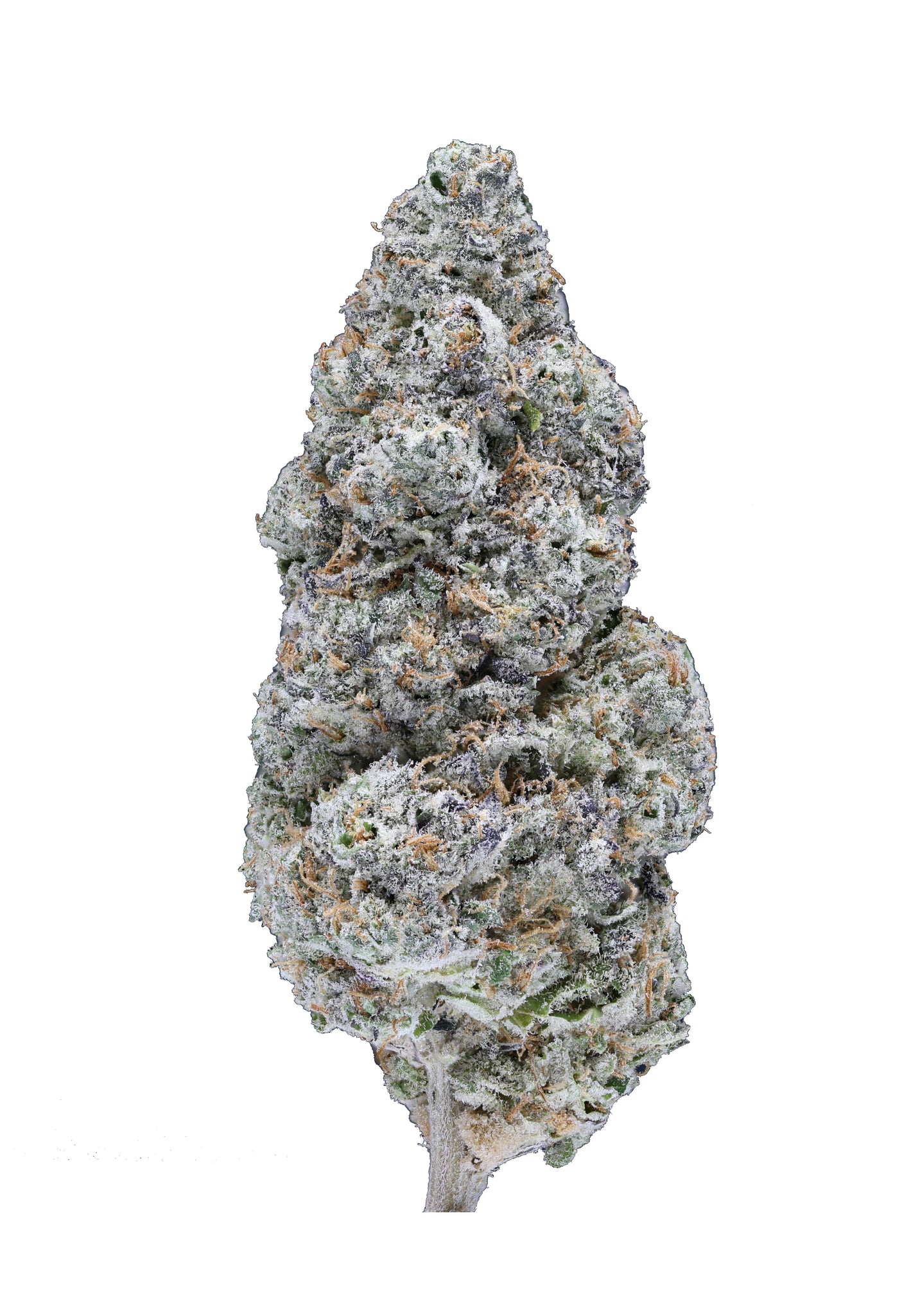 Mule Fuel Indoor High THCA Cannabis Flower