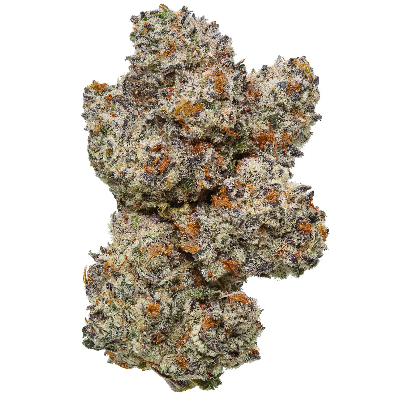 Octane Mintz harvested flower, as labeled by the cited photo source
