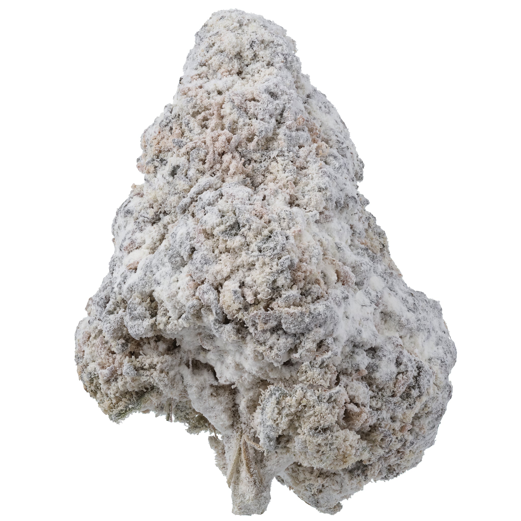Buy THCa Snow Caps Weed | Asteroids Potent Snowcap Weed Strain | Hemp Hop Buy THCa Snow Caps Weed | Asteroids Potent Snowcap Weed Strain | Hemp Hop