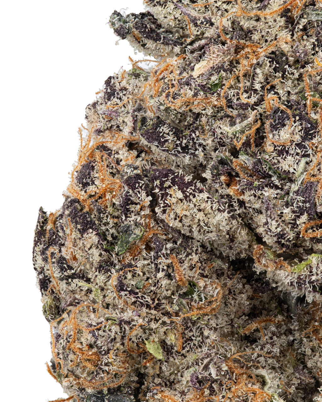 Shop Purple Haze THCa Flower Strain Online Charlotte NC | Hemp Hop