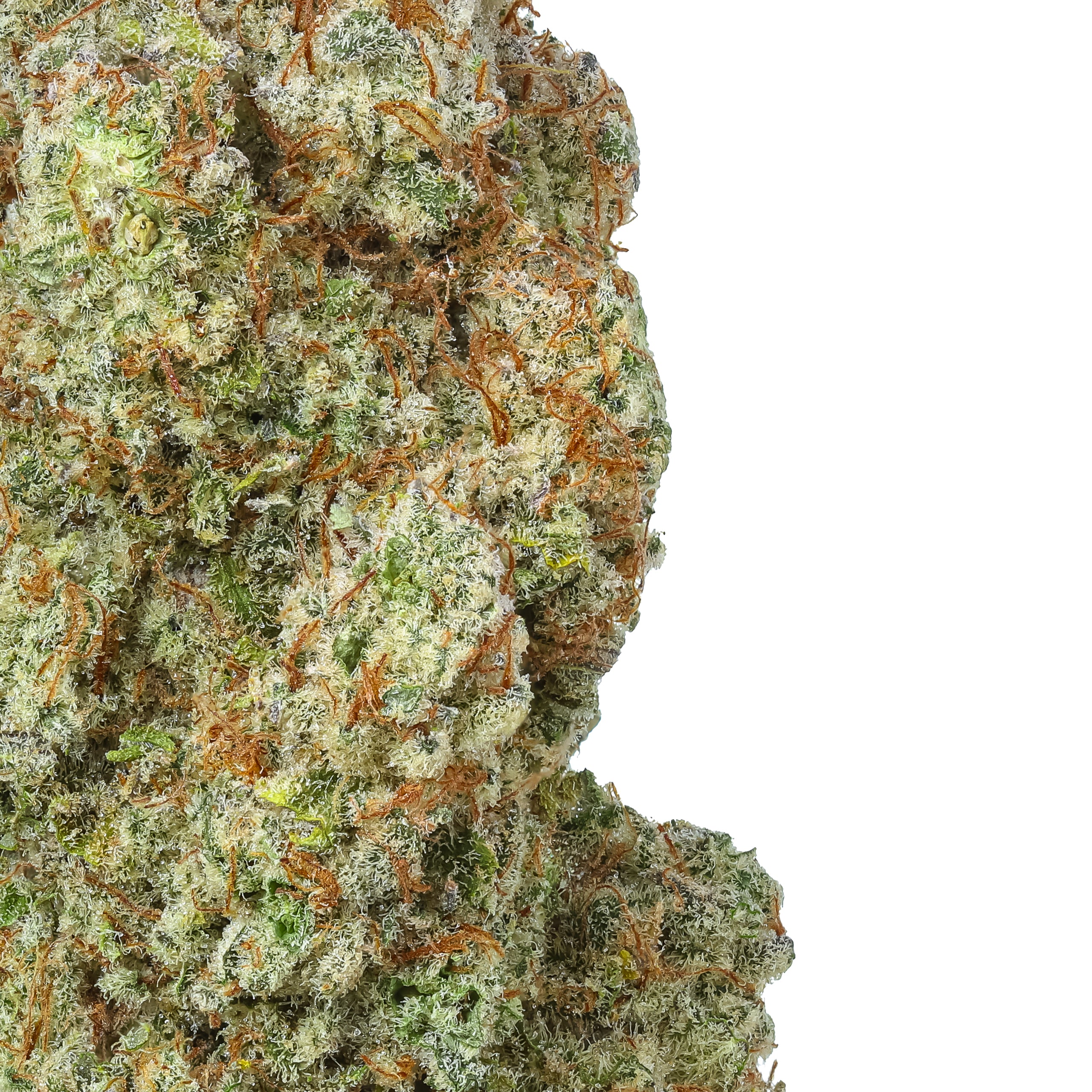 Buy Trainwreck THCa Flower Strain Online for Sale | Hemp Hop