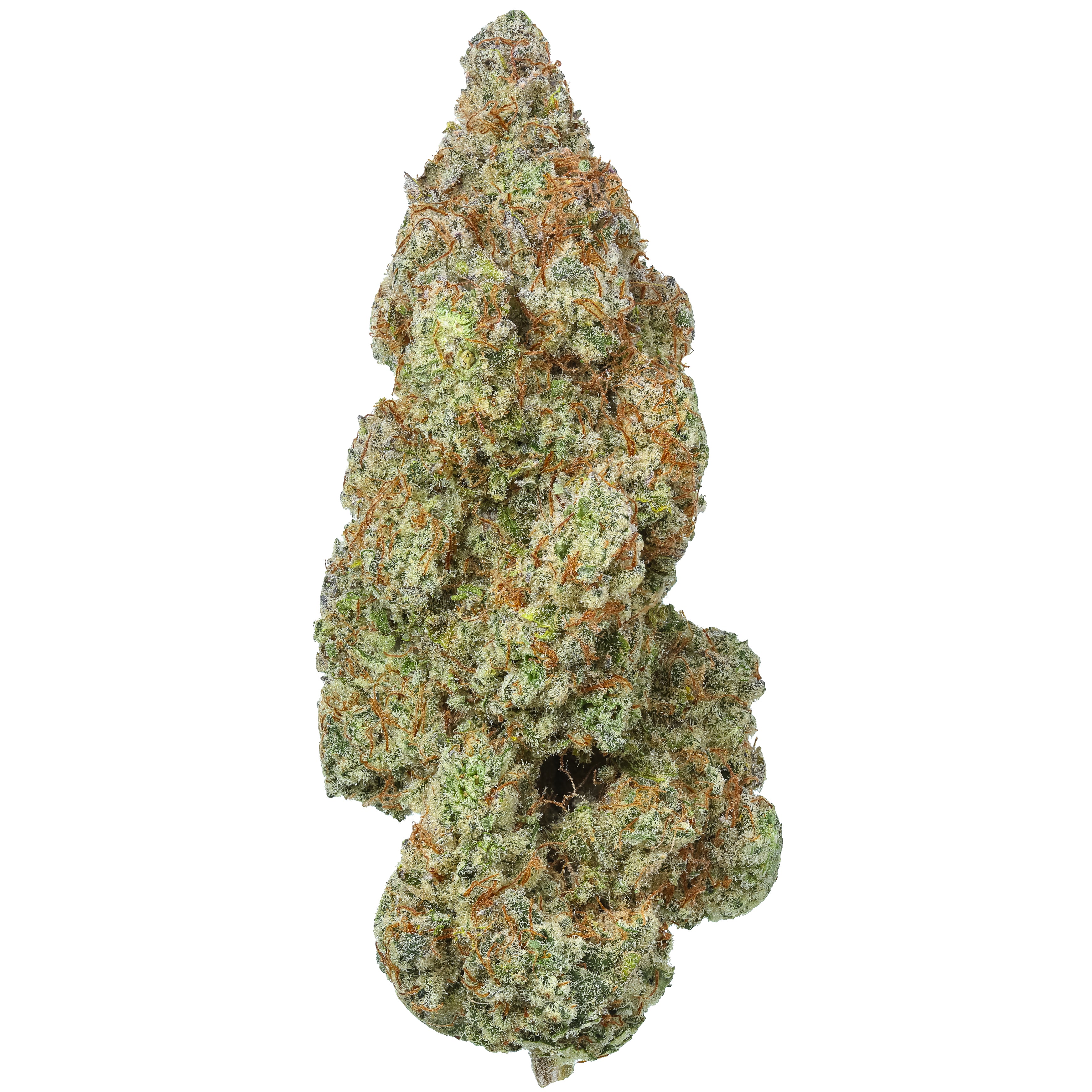 Trainwreck_3487x.jpg?v=1732706984