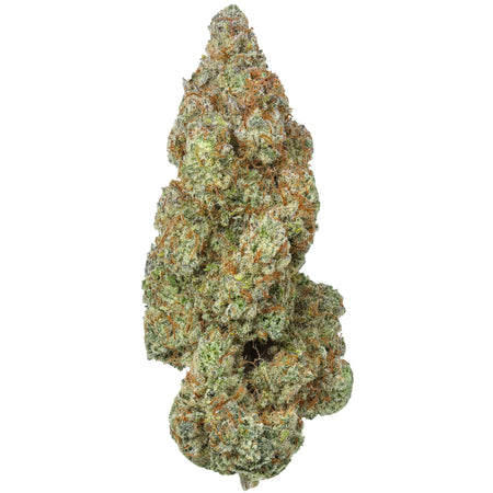 Trainwreck_450x450.jpg?v=