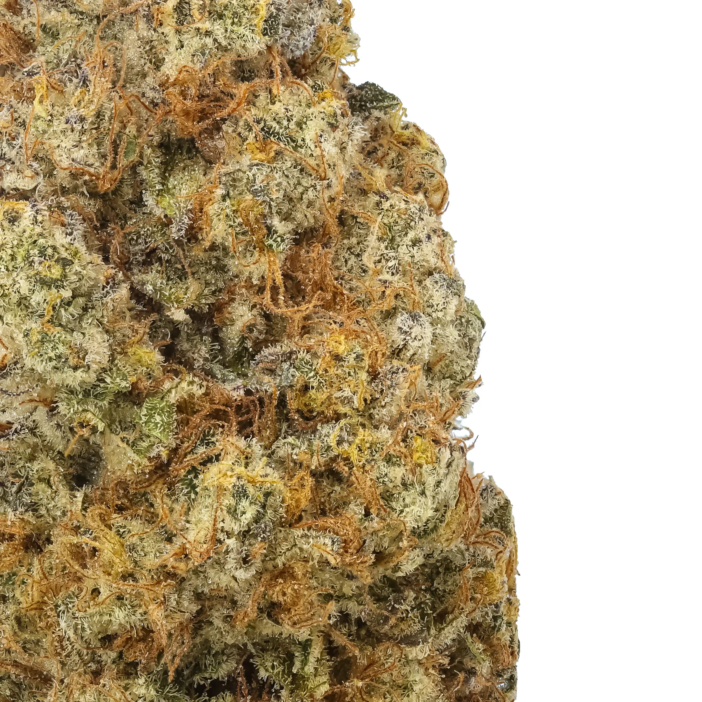 gorilla-glue-thca-flower-