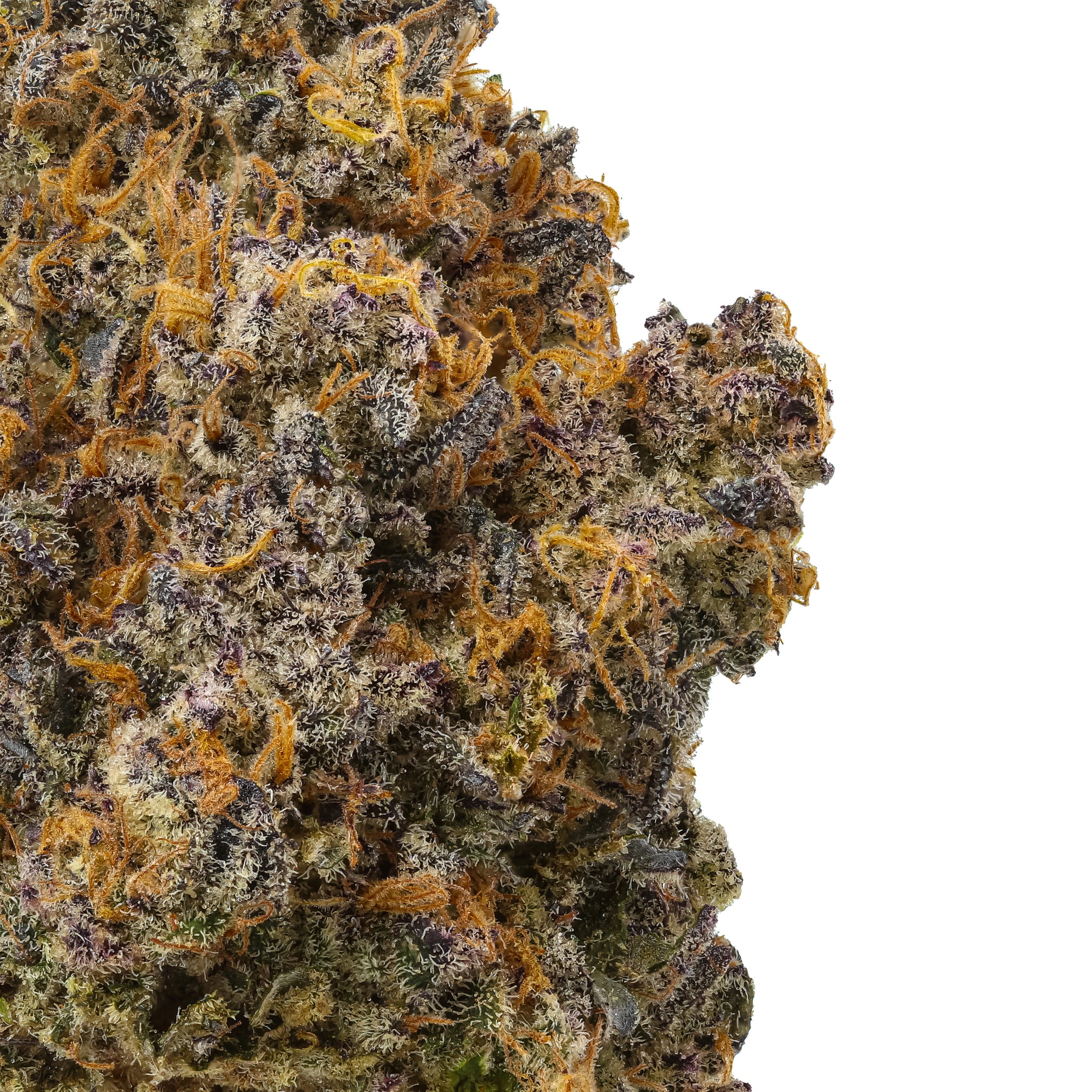 Pablo’s Revenge THCa Flower