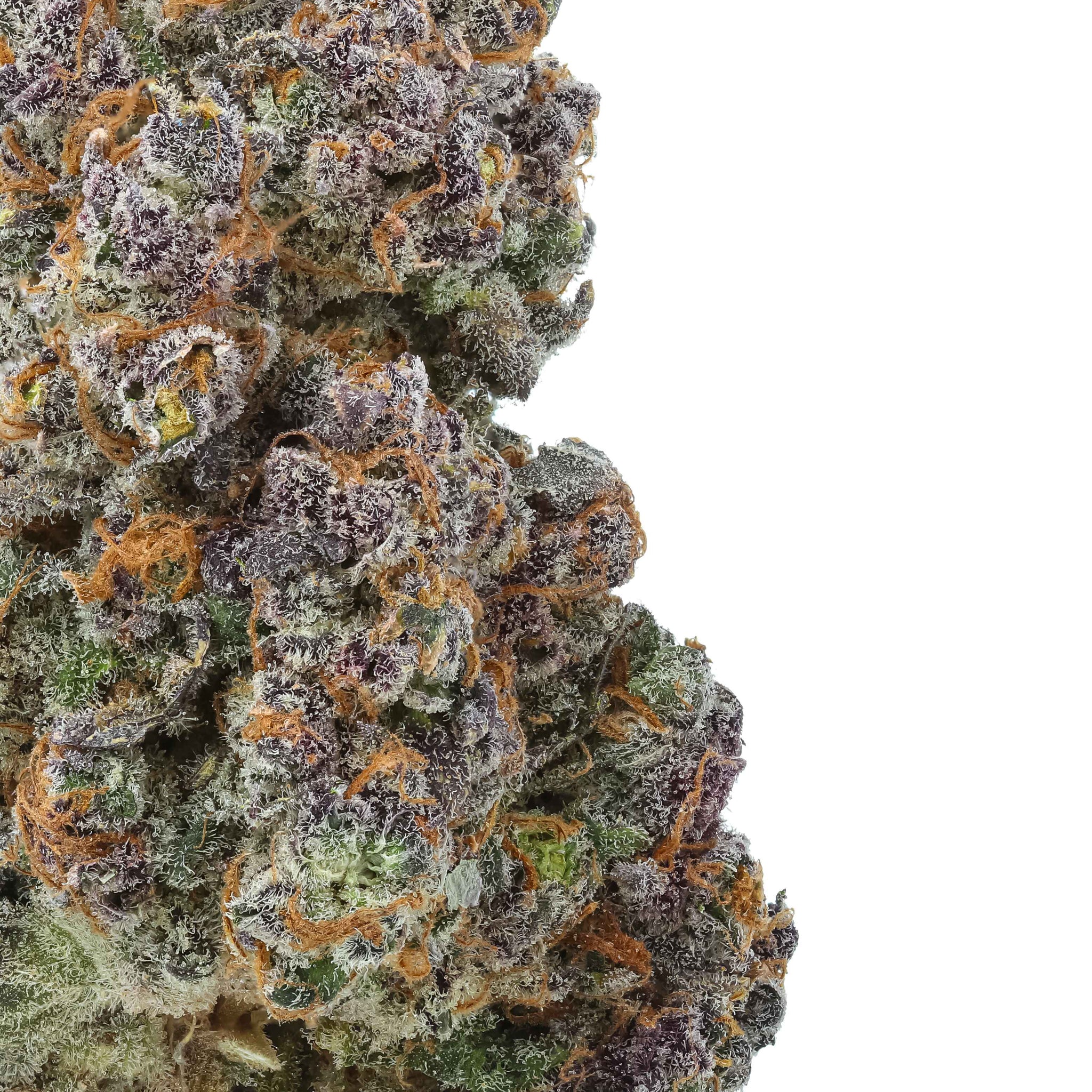 Rainbow Rose THCa Flower