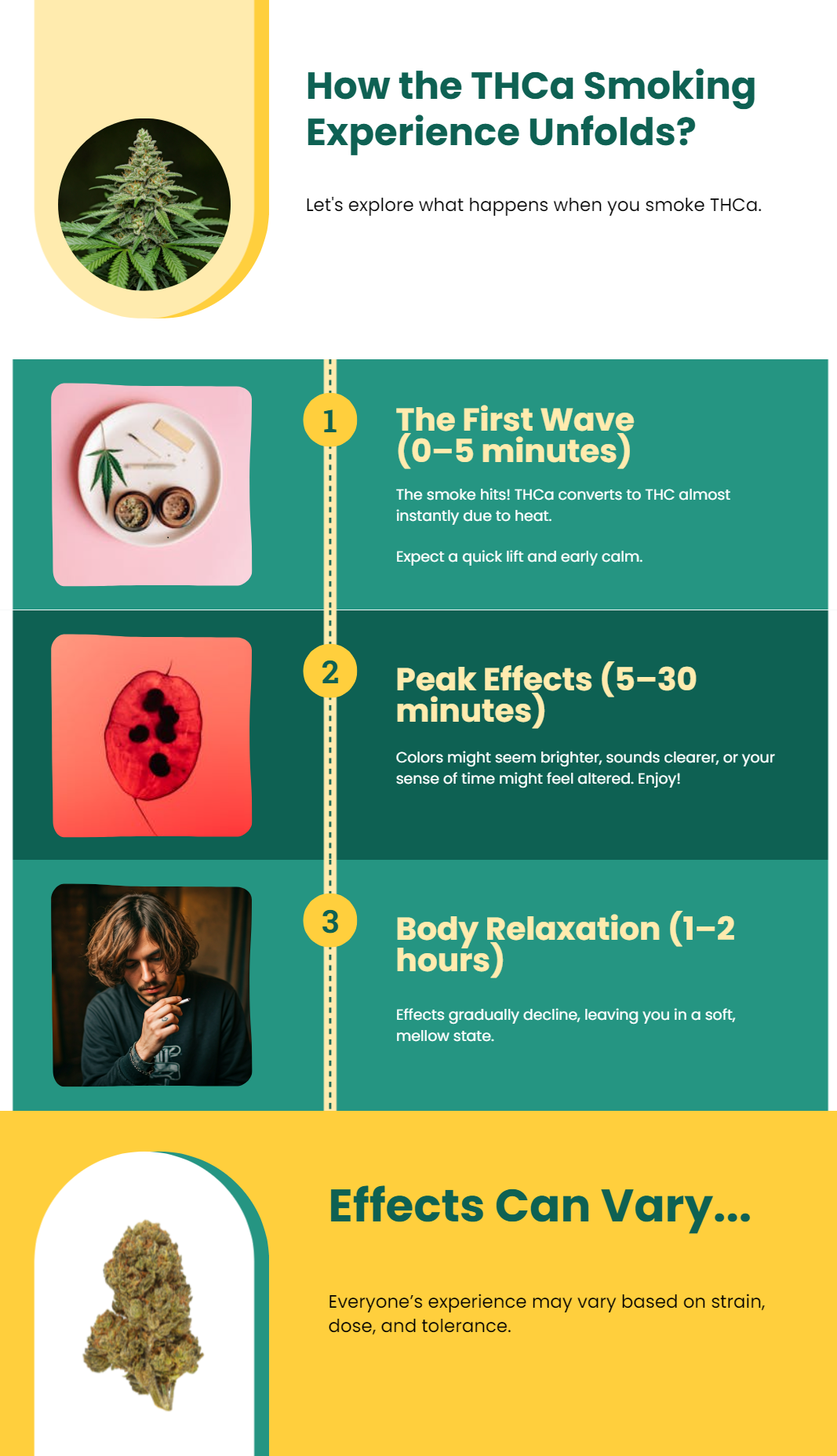 what happens if you smoke 30 cigarettes everyday Timeline of Lung Recovery After Quitting Smoking What happens when you stop