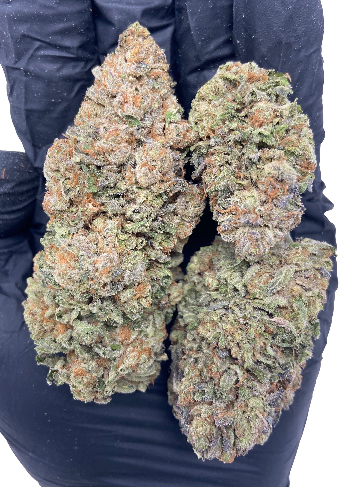 Death Bubba strain - Exotic Weed Dispensary