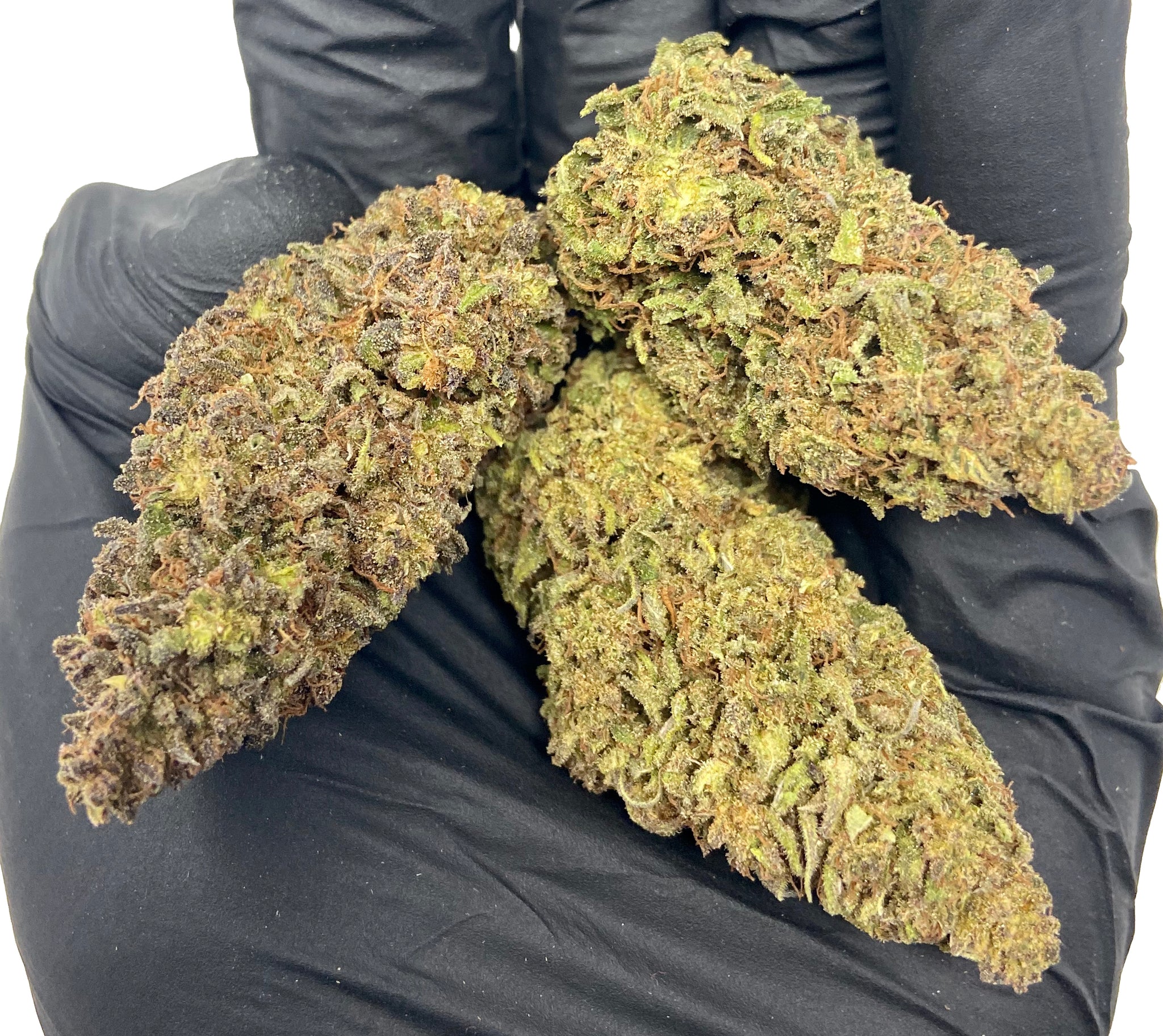 Get A Full-Body High With Gorilla Cake Weed — GHouse DC