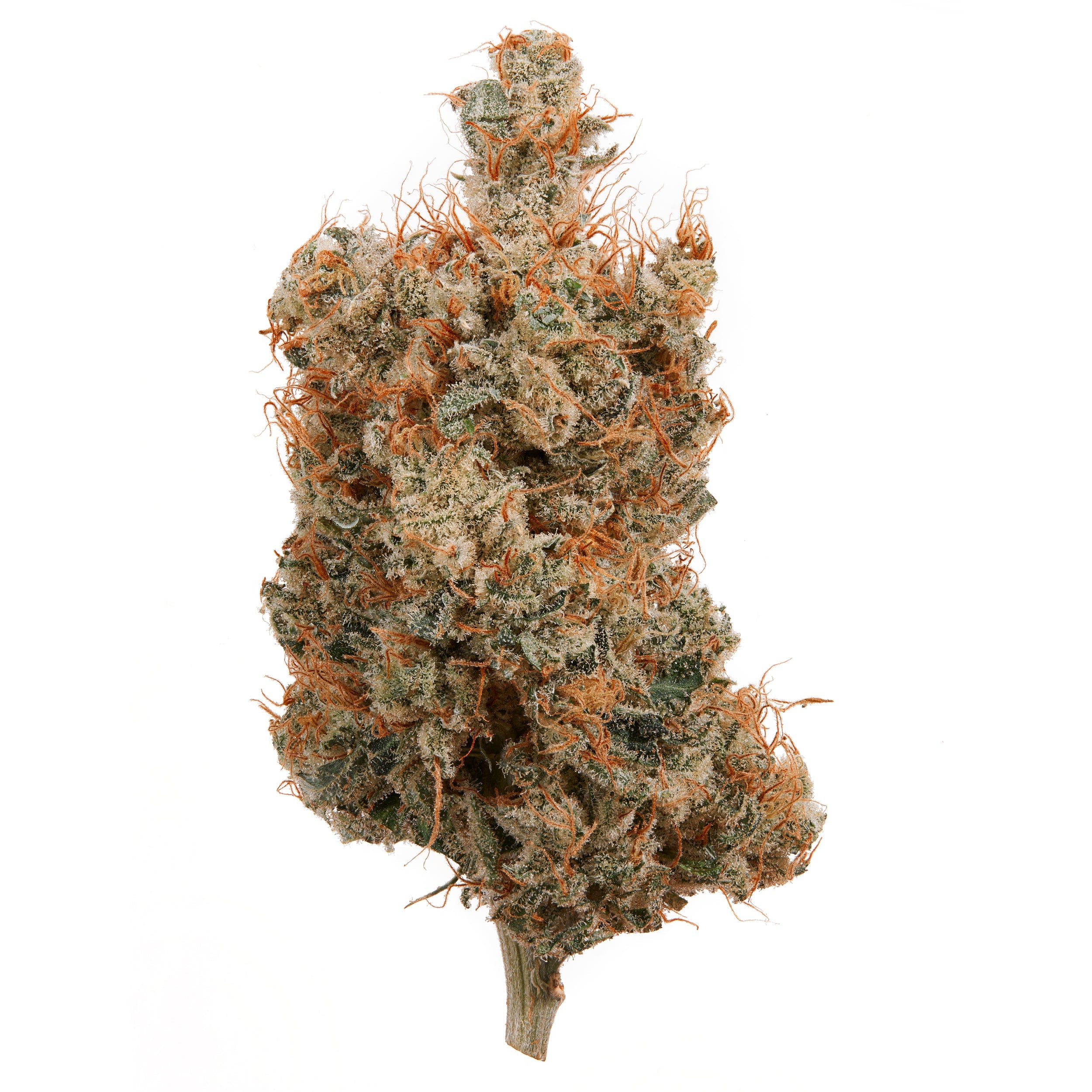 Quarter Pound | Hemp Flower | Hemp Hop