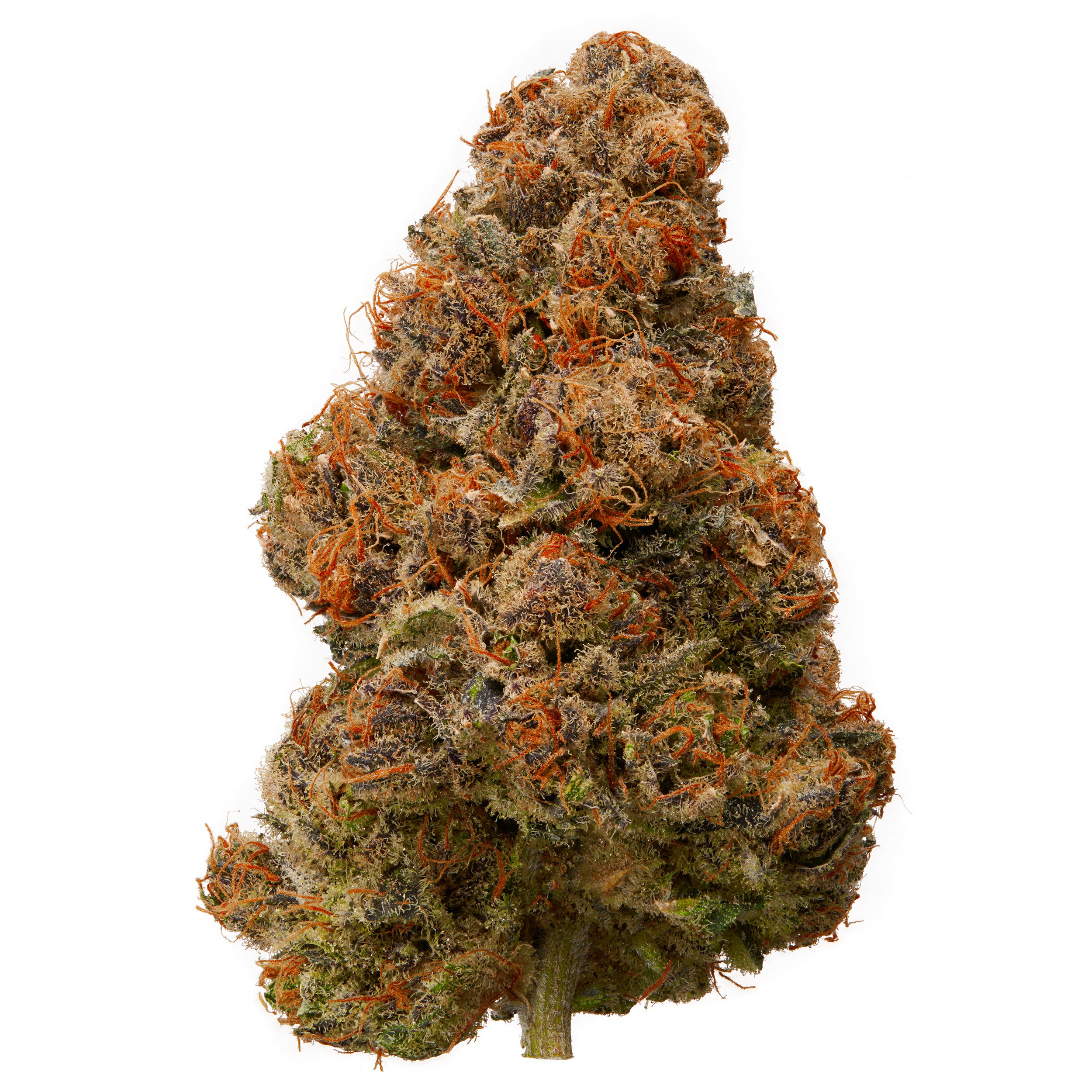 CBD,THCP buy online cannabis legal, dutch orange